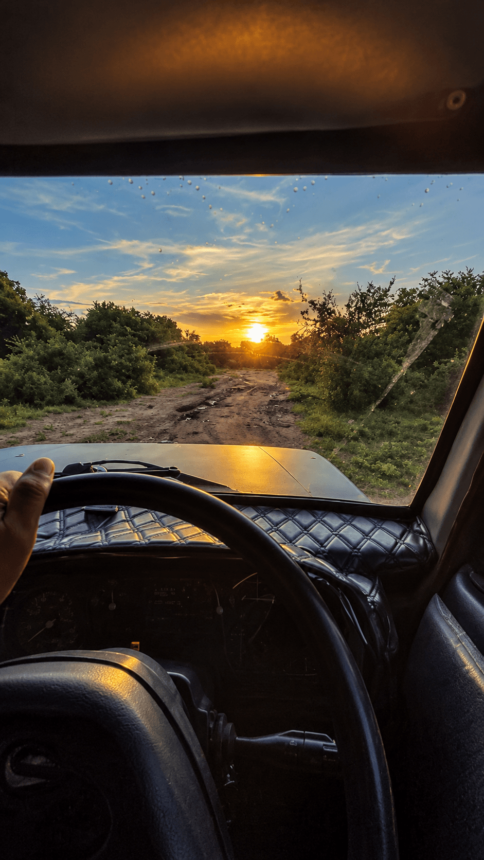 Evening Safari (4 Hours)