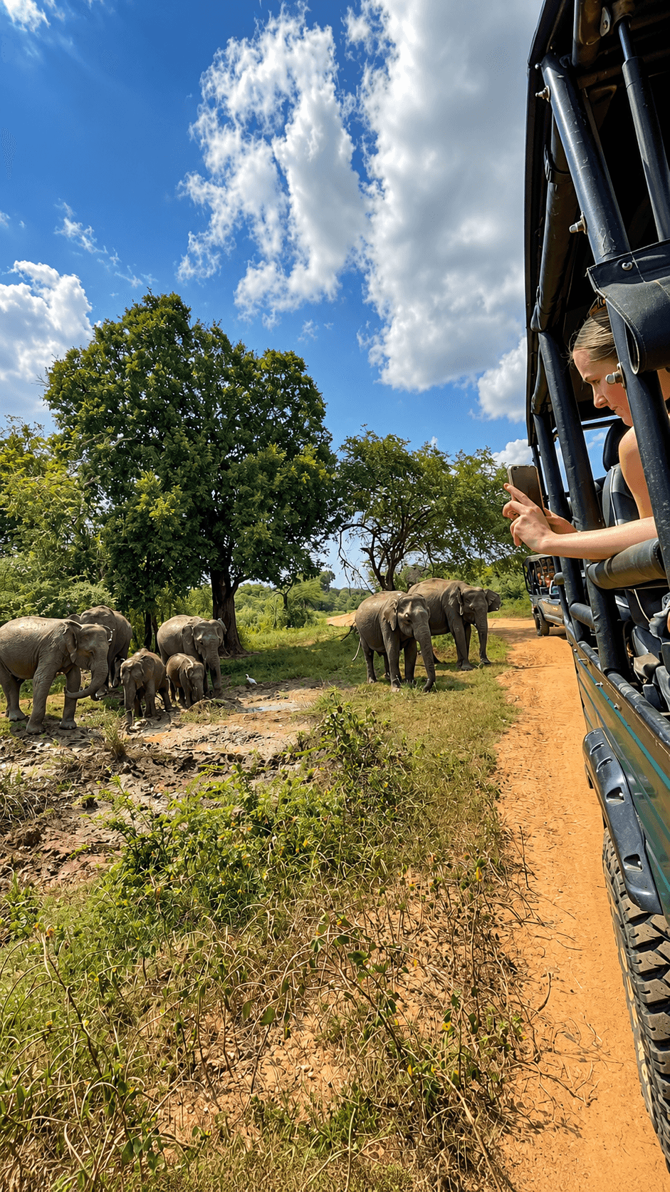 Elephants Along the Safari Track